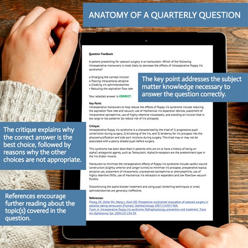 QQ-Anatomy